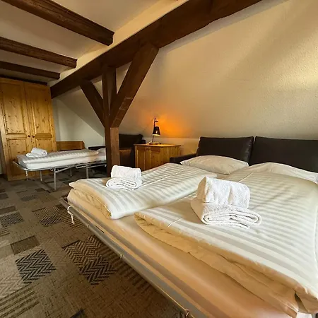 Hotel Miriquidi All Inklusive Oberwiesenthal Room photo