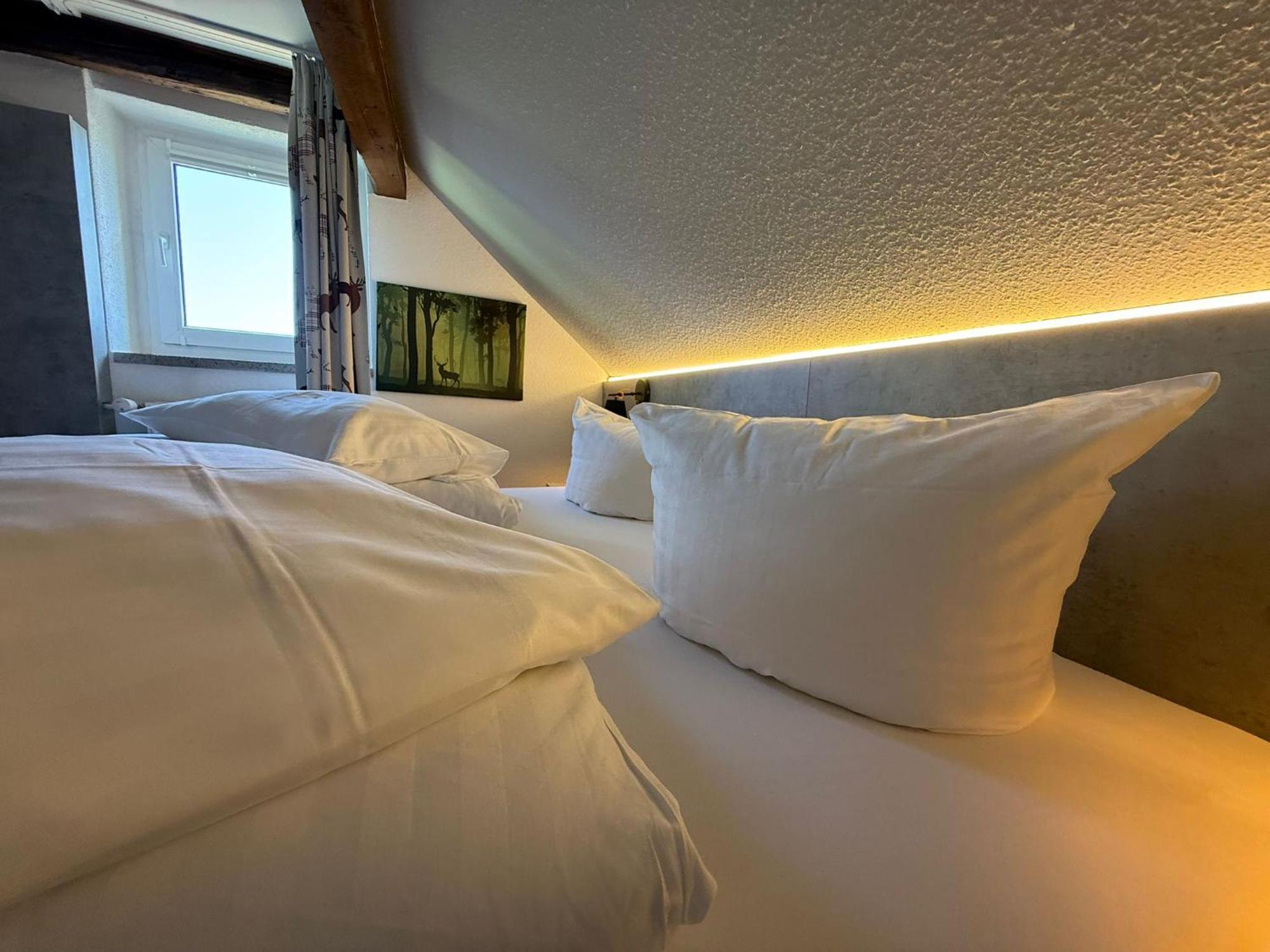 Miriquidi Inklusive Hotel Oberwiesenthal